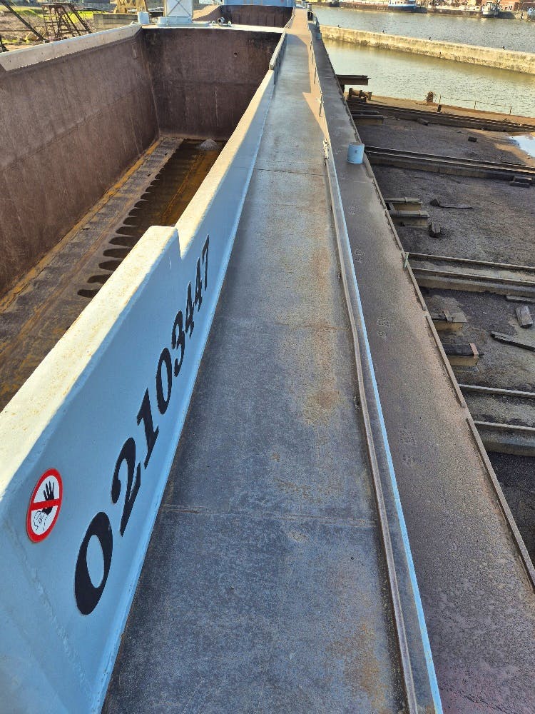 Vita Nova — thumbnail 4